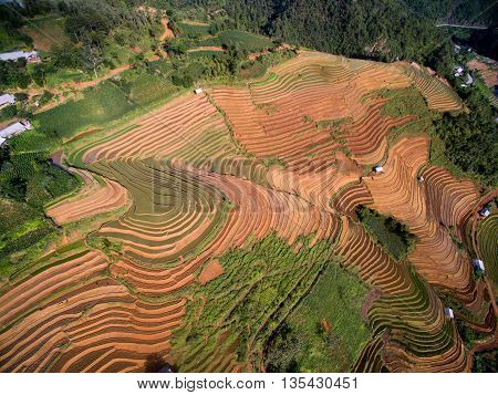 Terraced rice field in water season from above in Mu Cang Chai, Vietnam.