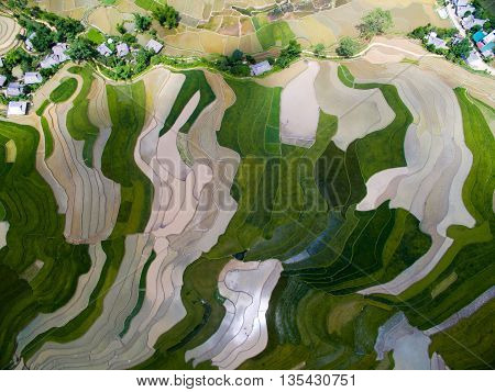 Terraced rice field in water season from above in Mu Cang Chai, Vietnam.