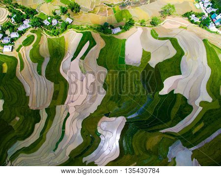 Terraced rice field in water season from above in Mu Cang Chai, Vietnam.