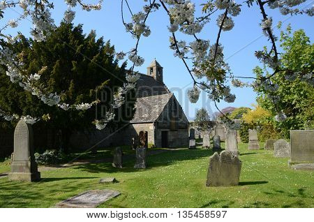 Trees in blossom in an ancient churchyard in Aberdour