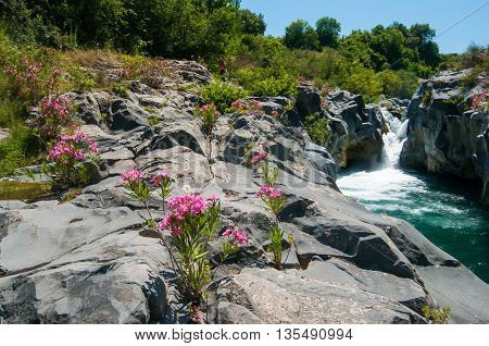 Alcantara River Reserve