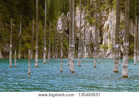 Kaindy Lake in Tien Shan mountain system Kazakhstan