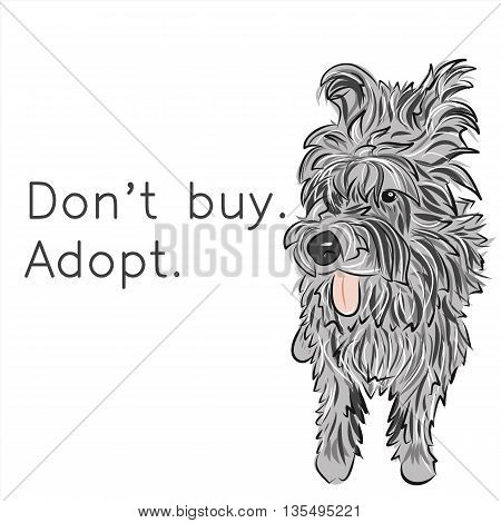 Homeless lonely dog. Adopt. Don't buy. Social problems