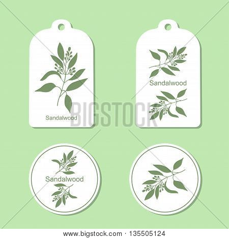 Sandalwood tree branch with flowers silhouette. Vector Illustration. Health and Nature Set of Tags and Labels