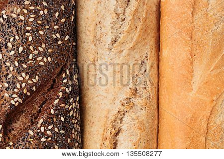 Bread of different varieties view from above. Rye wheat and whole grain bread. Macro. Texture. Food background.
