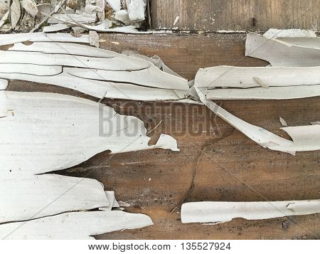 Background and texture of old damaged door