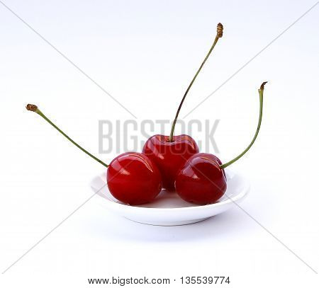 Beautiful Cherry Tree On A White Background