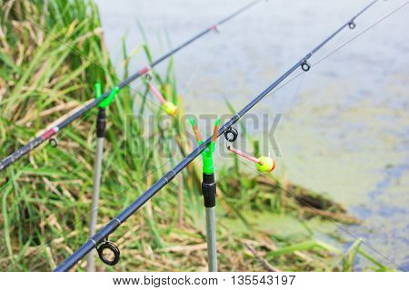 The tip of the rod with the bell.