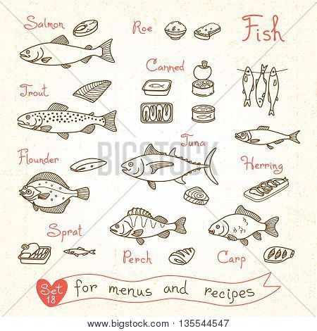 Set drawings of fish for design menus, recipes and packing. Trout, herring, sprat, flounder, perch, carp, tuna, salmon roe canned fish Vector illustration