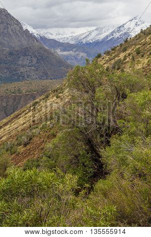San Alfonso Valley, Trail In The  Mountain