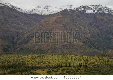 San Alfonso Valley, Trail In The  Mountain