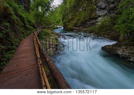 Soteska Vintgar In The River Radovna