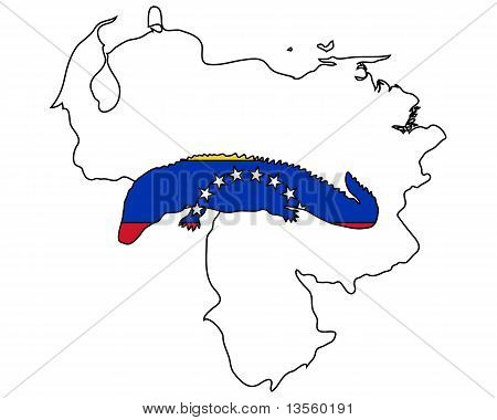 Kaiman-Venezuela