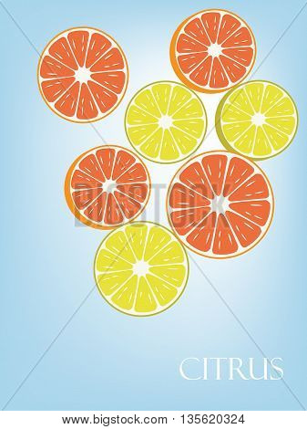 Illustration with lemons and grapefruits slices. Citrus.