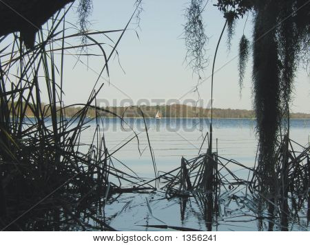 Plachetnice od Swamp