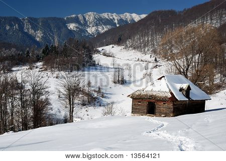 Hiver paysage Rural en Roumanie