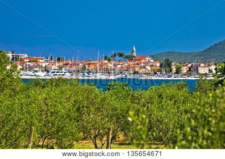Town of Biogead naMoru and olive grove Dalmatia Croatia