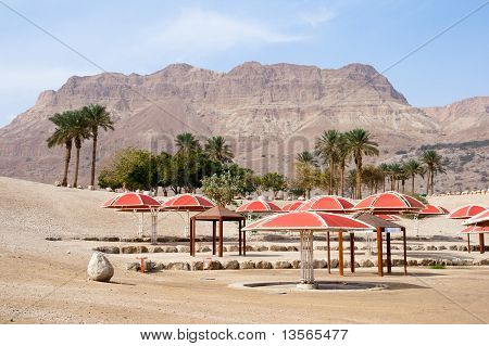 Ein Gedi - อิสราเอล