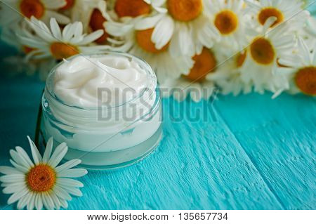 Cosmetic cream with camomile flower for a body and face on blue wooden table