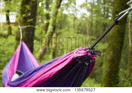 soft hammock on trees in forest summer