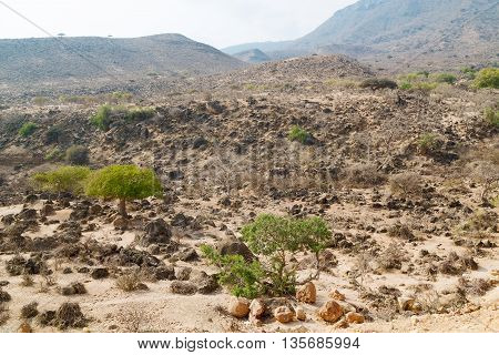 In Oman  The Old Mountain Gorge And Canyon The Deep Cloudy  Sky