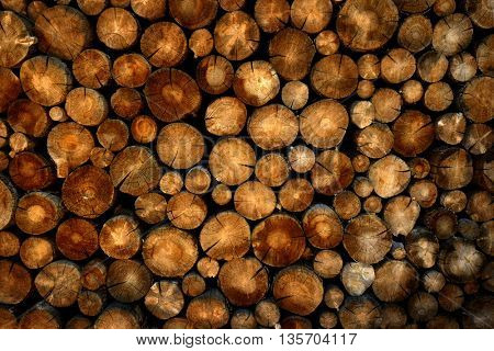 Stack of pine logs in fire pile for buring in fire place