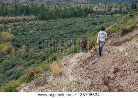 San Alfonso Valley, Trail In The  Mountain