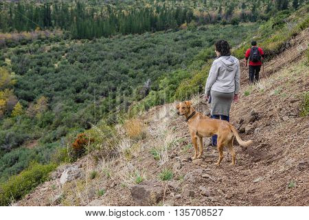 San Alfonso Valley, Trail In The  Mountain