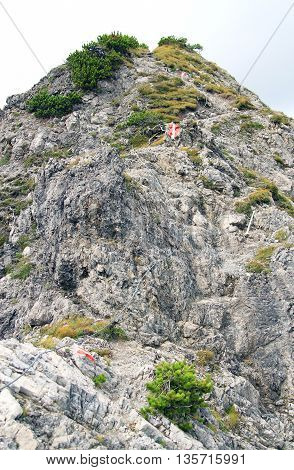 view on a trail in the alps by daylight