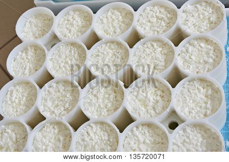 Molds With Semifinished For Production Of Soft Cheese