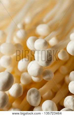 Raw Organic Enoki Mushrooms