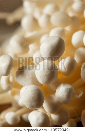 Raw Organic Enoki Mushrooms