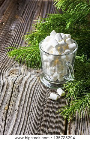 High Glass mug full of marshmallow on a background of green fir branches and structural gray wooden background.