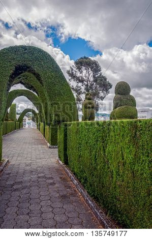 Tulcan Is Known For The Most Elaborate Topiary In The New World Where The Trees Have The Form Like Animals Archways Angels Geometric Shapes Or Incan Symbols