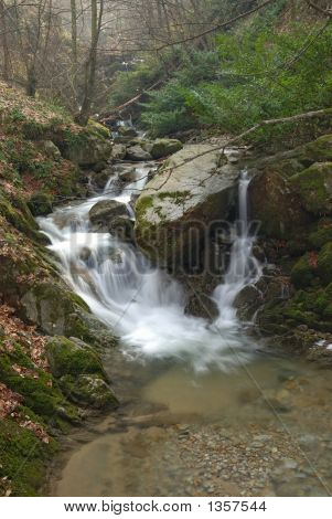 フォレスト内のクリーク