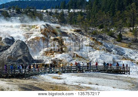 Minerva Terrace, Mammoth Hot Springs, Yellowstone, Wyoming, USA