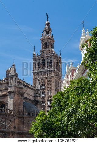 view of Seville cathedral and giralda bell tower in summer 2016