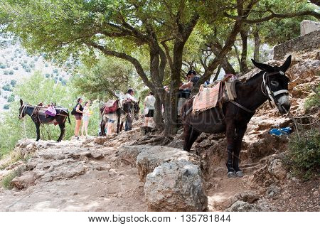 CRETE-JULY 21: The Cave of Zeus and donkey on July 212014 on the Crete island in Greece.