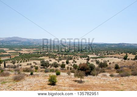 Cretan landscape with olive trees. Crete Greece.