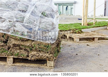 Stack of turf grass rolls for a lawn piled on wooden pallet.