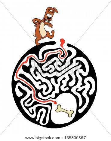 Maze puzzle for kids with dog and bone. Labyrinth illustration, solution included.
