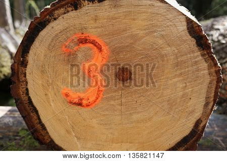 A sawn log with the number three spray painted onto it
