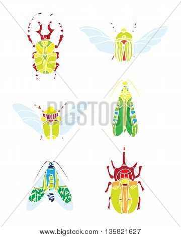 color vector beetles. natural elments for design.