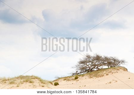 Cloudy sky above a dune rim with room for text