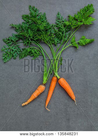 Fresh Carrots Bunch On Dark Concrete Background. Raw Fresh Carrots With Tails. Fresh Organic Carrots