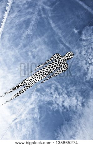 Cervia, Italy - April 30, 2016: kite flying during a festival