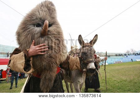 Pernik, Bulgaria - January 30, 2010: Unidentified man in traditional Kukeri costume are seen at the Festival of the Masquerade Games Surva in Pernik, Bulgaria.