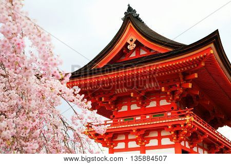 Shrine with Cherry blossom in Kizomizu temple in Kyoto Japan