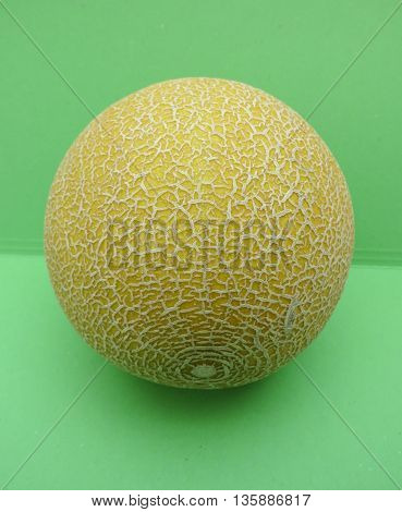 Melon Galia Fruit
