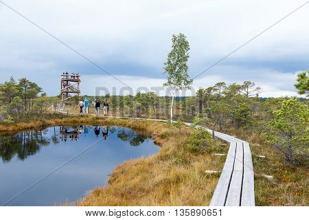 Beautiful Small lake in Kemeri National Park, Kemeri, Latvia with a sky reflection in water surface